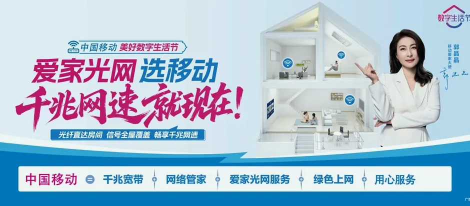 台前县台前县城关镇 移动宽带